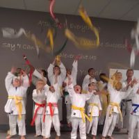 Sylvania Family Karate ico
