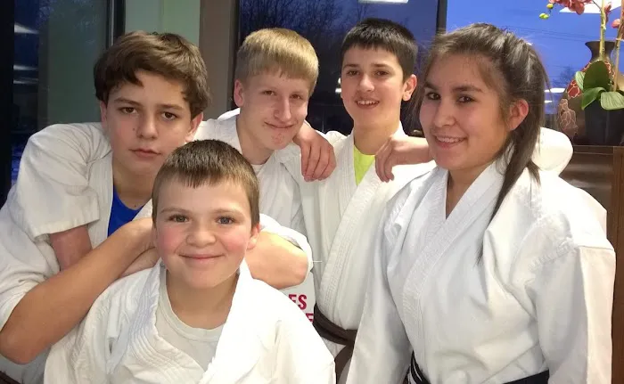 Sylvania Family Karate Picture 2