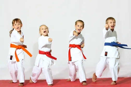 Sylvania Family Karate Picture 8