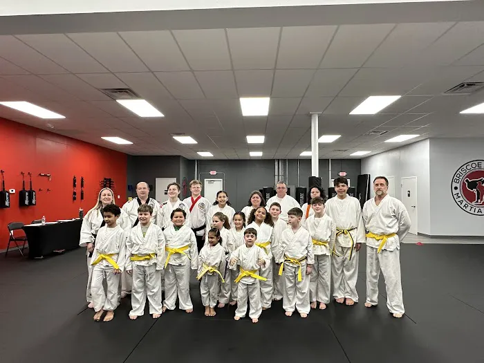 Briscoe Family Martial Arts Picture 4