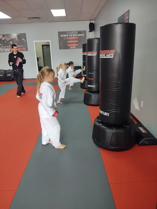 Cosens Martial Arts Oxford LLC Picture 7