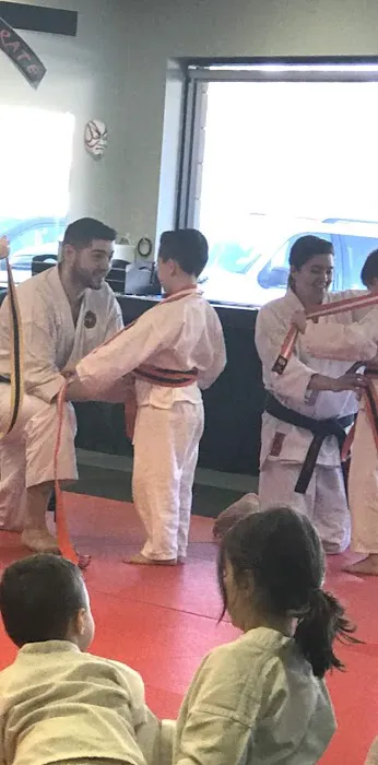 Elite Martial Arts Picture 3