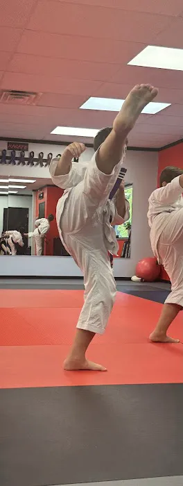 Elite Martial Arts Picture 1