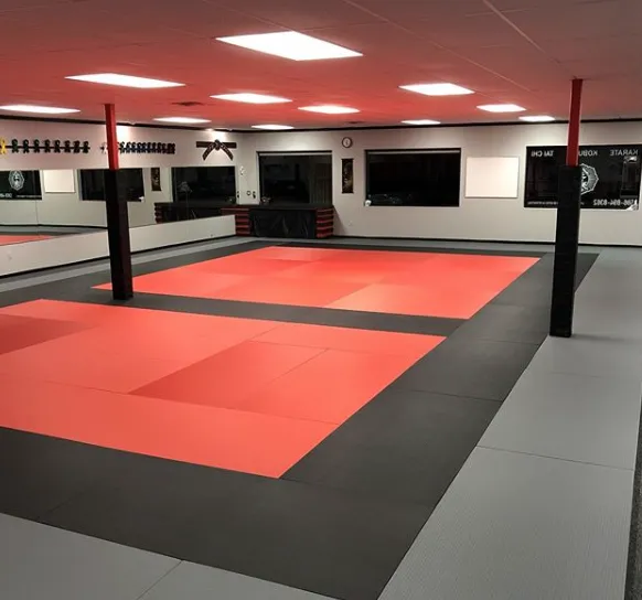 Elite Martial Arts Picture 9