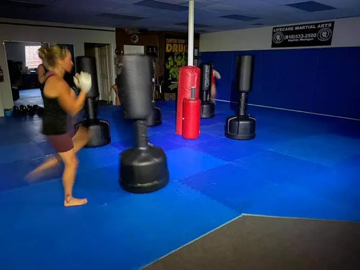 LifeCare Martial Arts Center Picture 7