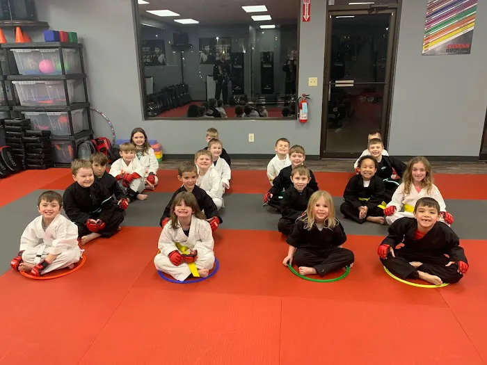 Cosens Martial Arts Fenton, LLC Picture 4