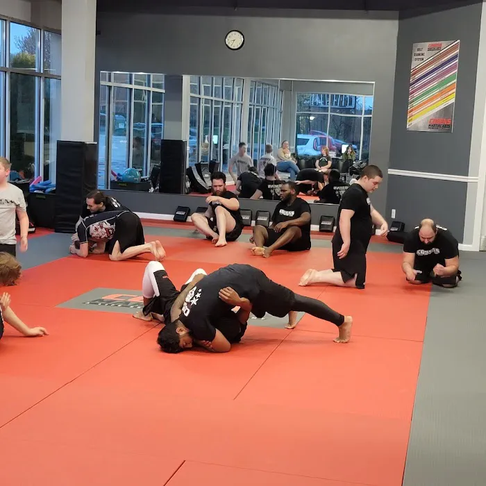 Cosens Martial Arts Fenton, LLC Picture 2