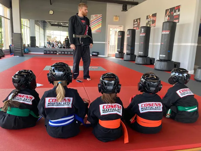 Cosens Martial Arts Fenton, LLC Picture 6