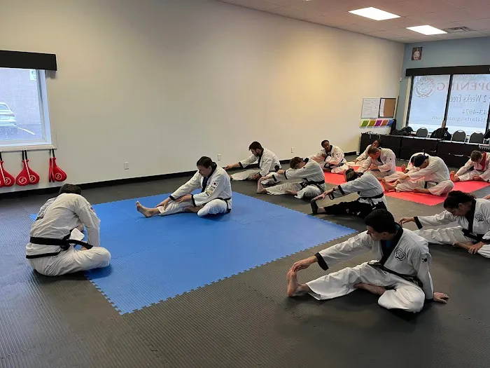 Ironwood Martial Arts Picture 3