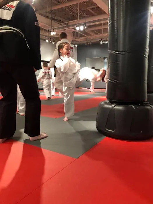 Cosens Martial Arts Grand Blanc LLC Picture 6