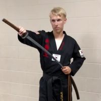 World Martial Arts Academy ico
