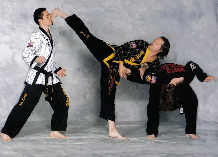 World Martial Arts Academy Picture 5