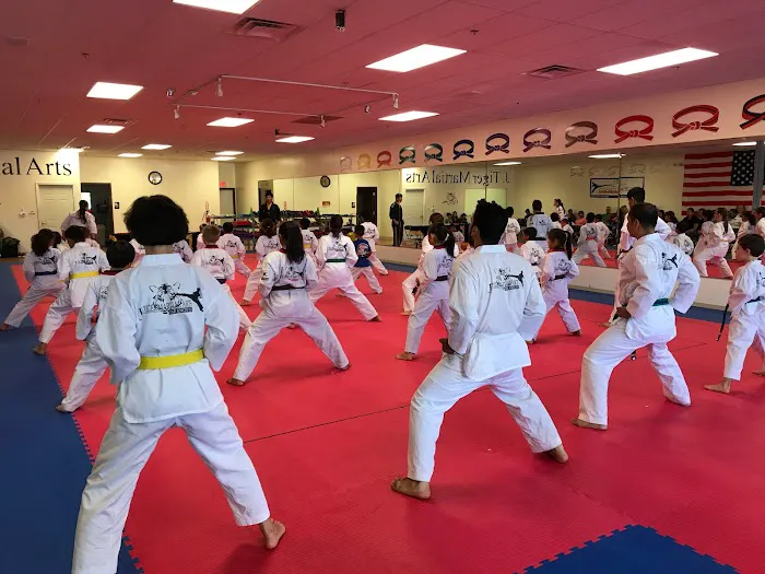 J.Tiger Martial Arts Taekwondo Picture 5