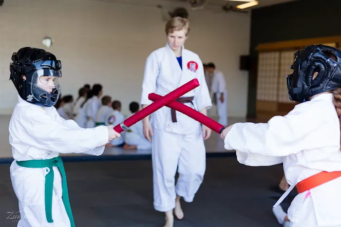 Aikido Asu Modern Arnis Kali Picture 2