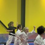 Excellence Martial Arts, LLC