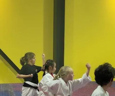 Excellence Martial Arts, LLC