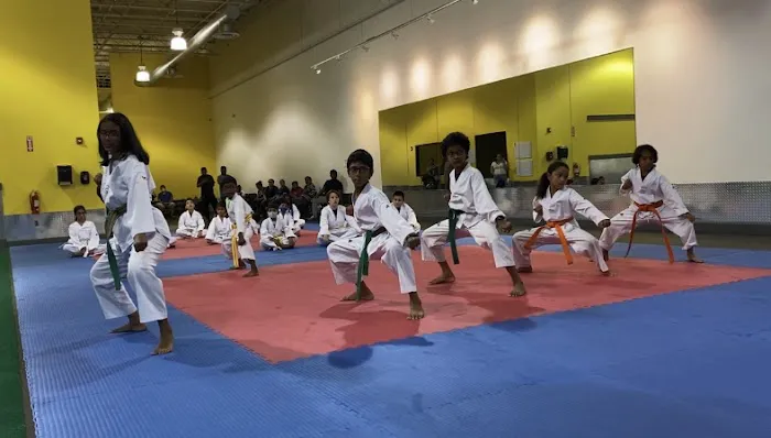Excellence Martial Arts, LLC Picture 6