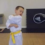 Martial Arts in Powell