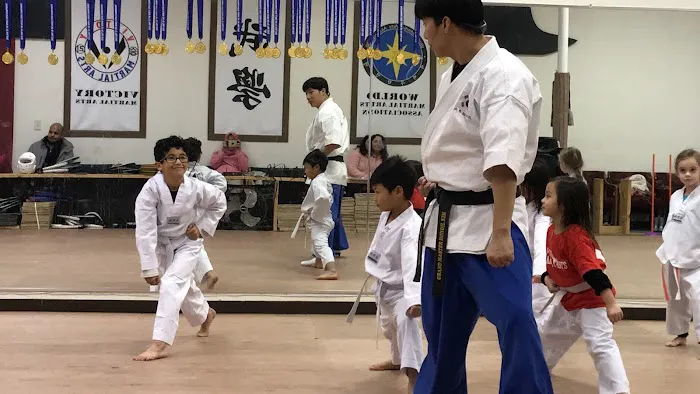 Victory Martial Arts Picture 6