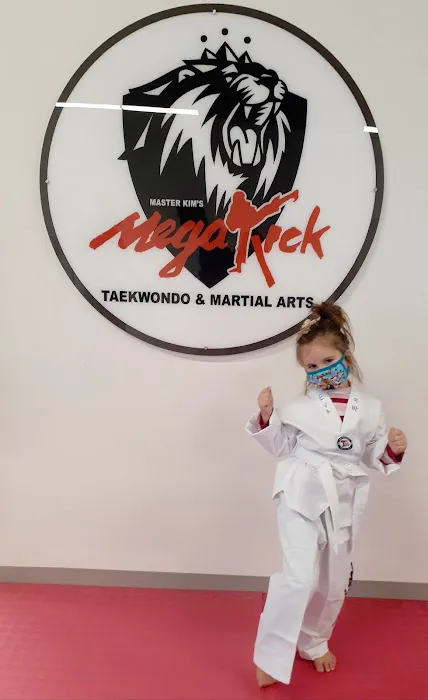 Master Kim's MegaKick Tae Kwon Do & Alpha Krav Maga Picture 2