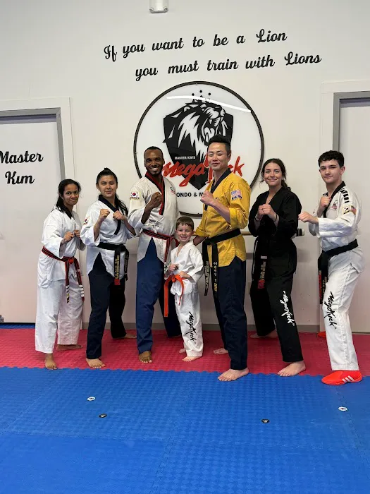 Master Kim's MegaKick Tae Kwon Do & Alpha Krav Maga Picture 3