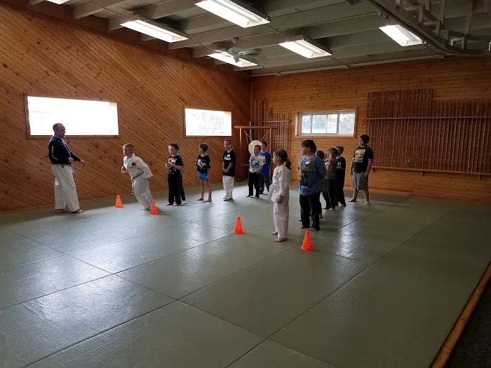 Bob Aldis' Bushido Martial Arts Inc Picture 7