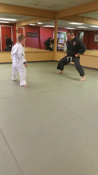 Bob Aldis' Bushido Martial Arts Inc Picture 3