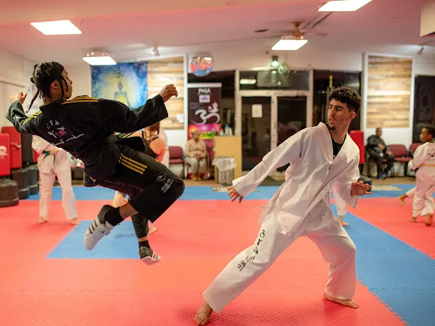 BTA martial arts Picture 2