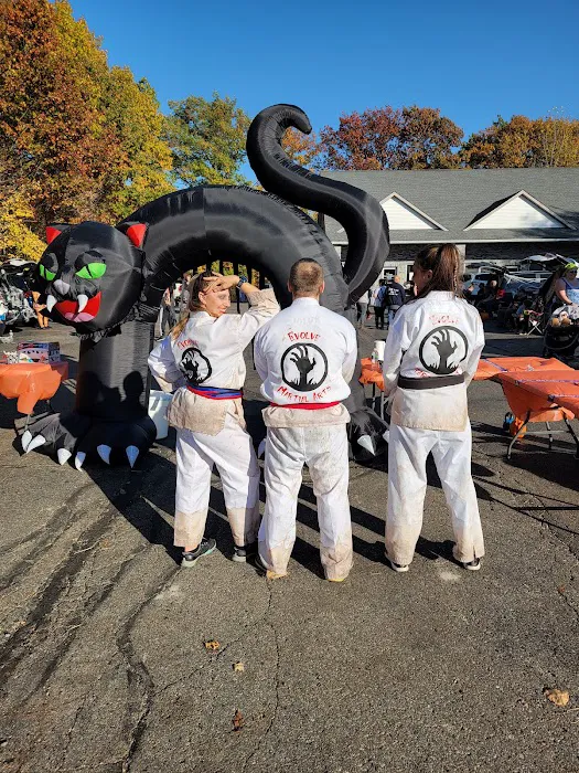 Evolve Martial Arts and Fitness Picture 9