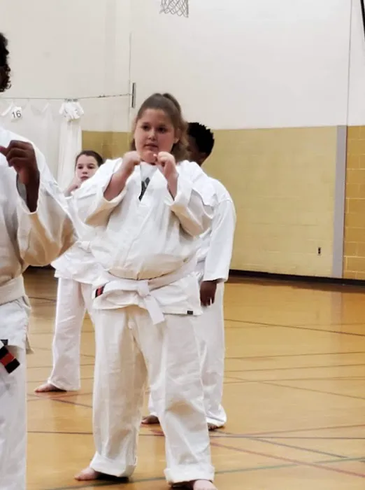 Premier Martial Arts Okemos Picture 2