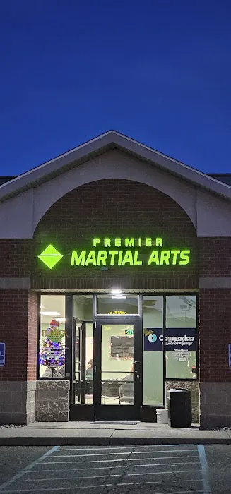 Premier Martial Arts Okemos Picture 5