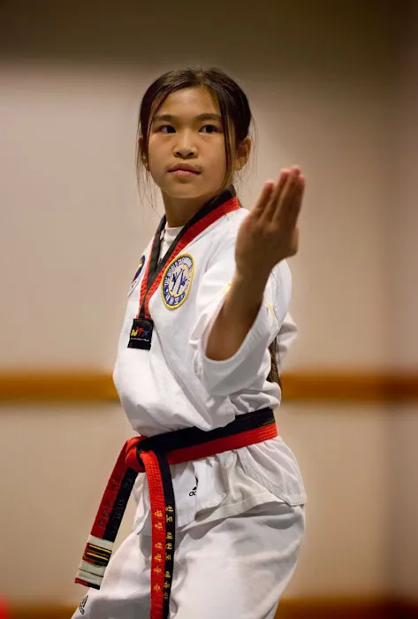 Chung's Taekwondo and Martial Arts USA Picture 5