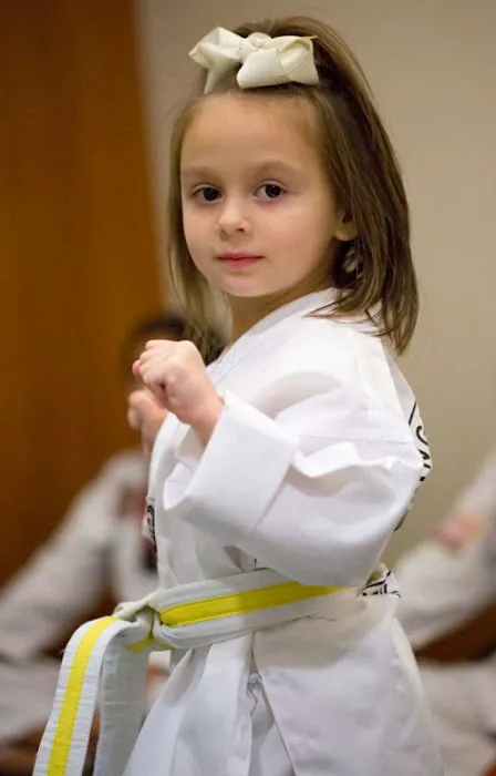 Chung's Taekwondo and Martial Arts USA Picture 10