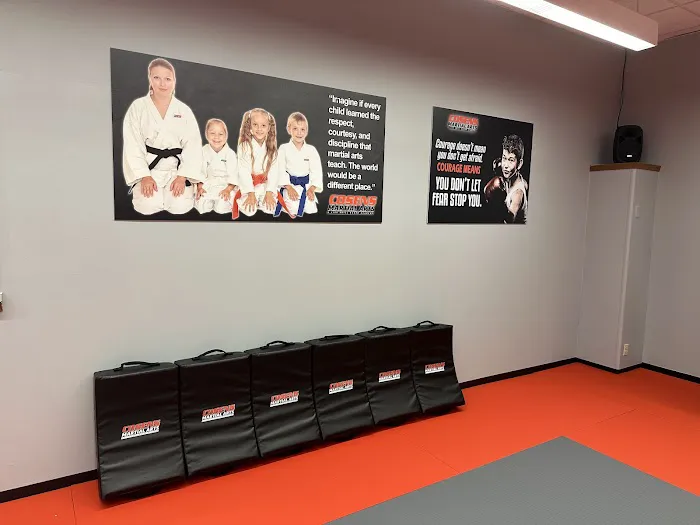 Cosens Martial Arts Lapeer LLC Picture 1