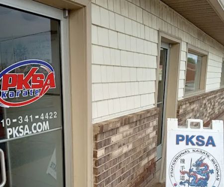 Pksa Karate Lapeer