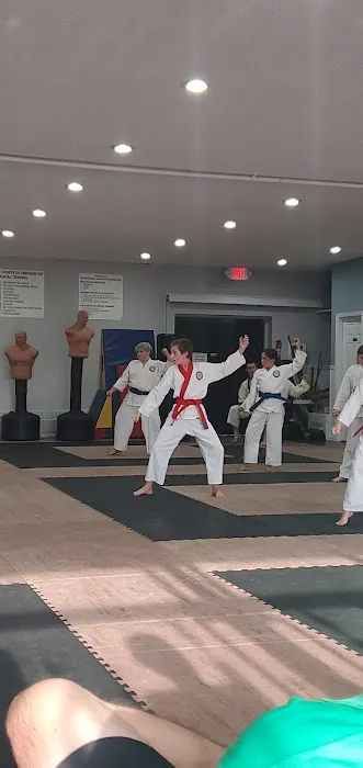 Flushing Karate Picture 4