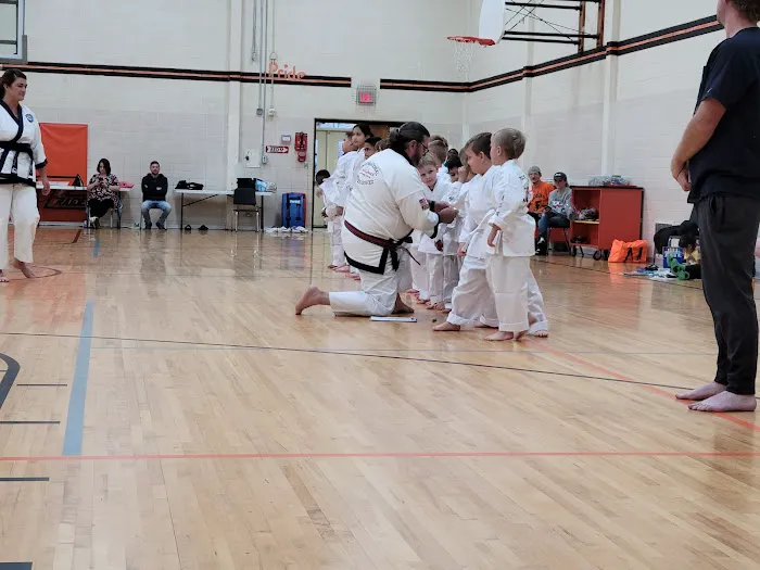 Flushing Karate Picture 3