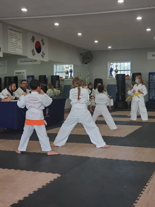 Flushing Karate Picture 5