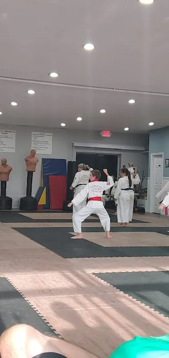 Flushing Karate Picture 7
