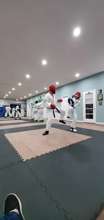Flushing Karate Picture 8