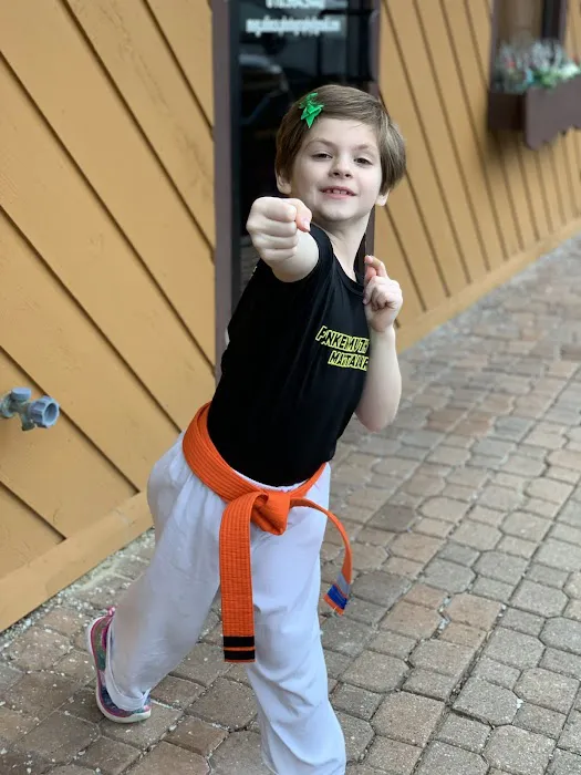 Frankenmuth Martial Arts Picture 2