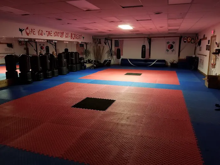 Che Ko Tae Kwon Do Academy Picture 2