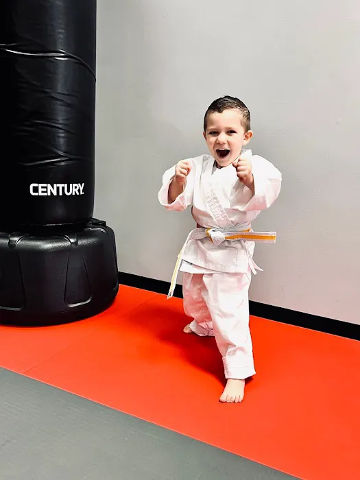 Cosens Martial Arts Saginaw LLC Picture 4