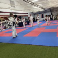 PKSA Karate East Lansing ico