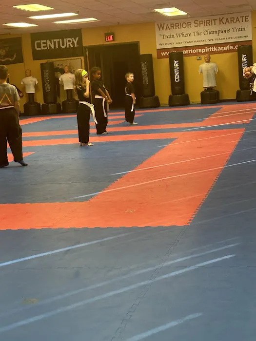 Warrior Spirit Karate LLC Picture 3