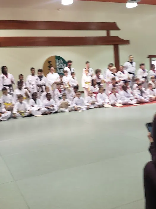 Darimar Martial Arts Picture 1