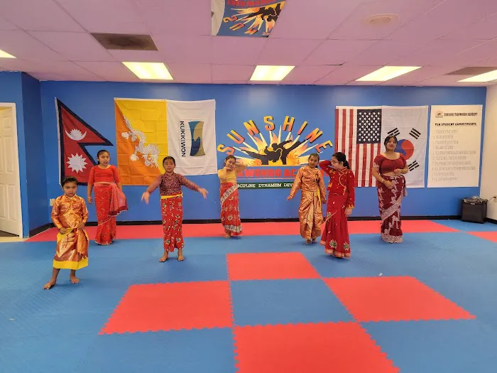 Sunshine Taekwondo Academy LLC Picture 3