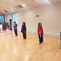 Team Perry American Karate/TKD ico