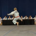 Krinsky's Taekwondo Academy