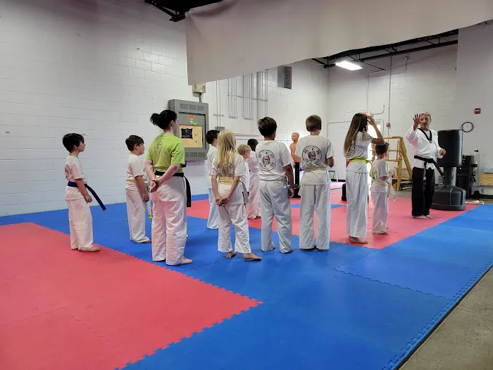 Silver Dragon Taekwondo Picture 4